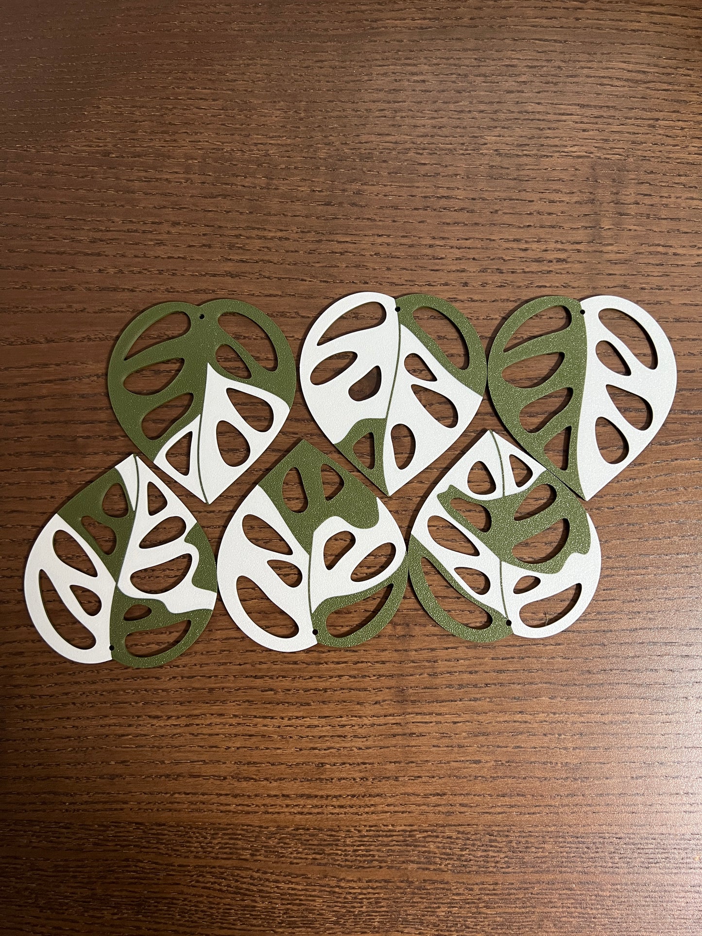Monstera Adansonii Coaster Set Plant