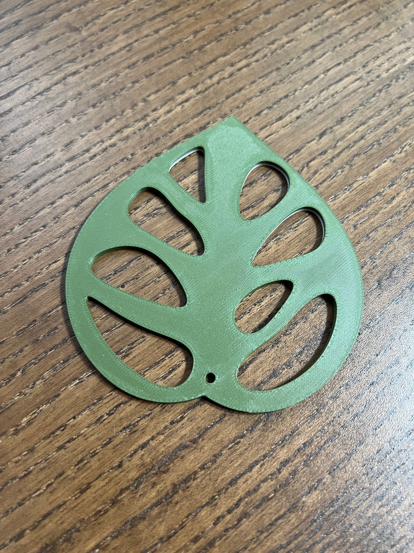 Monstera Adansonii Coaster Set Plant
