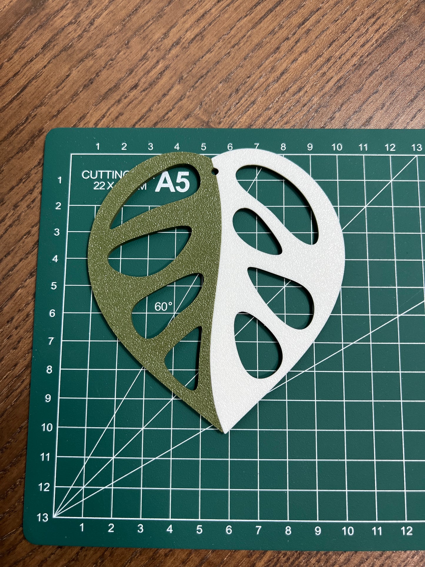 Monstera Adansonii Coaster Set Plant