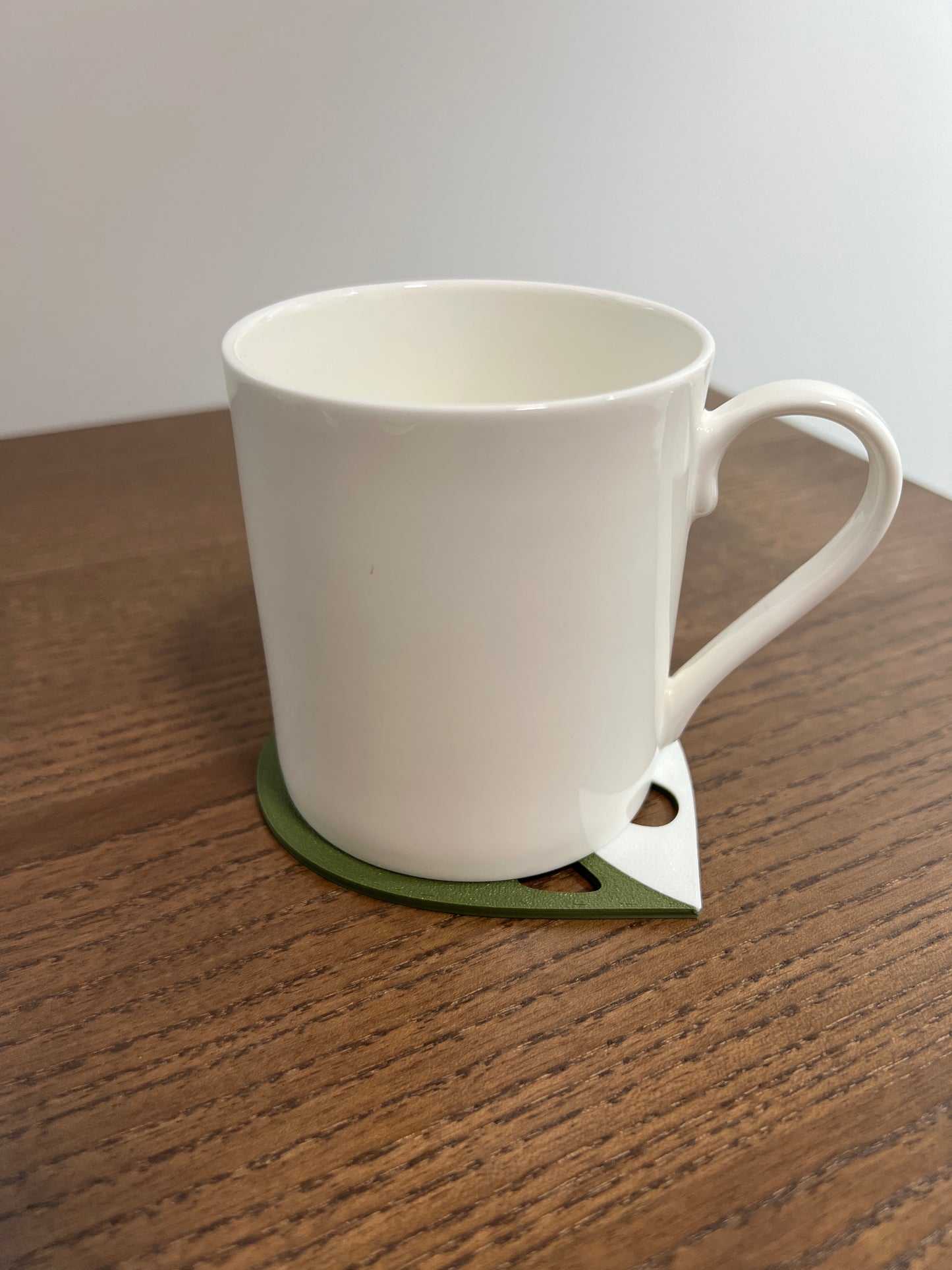 Monstera Adansonii Coaster Set Plant