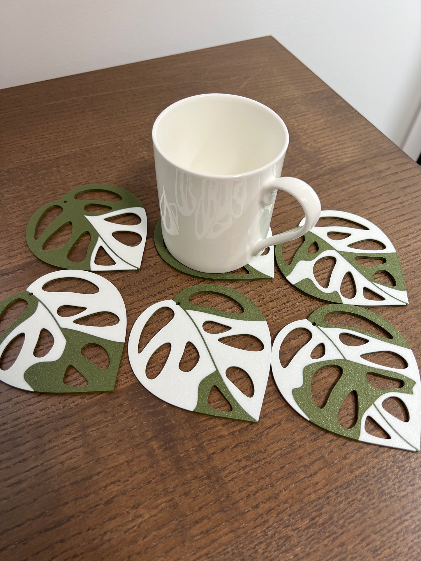 Monstera Adansonii Coaster Set Plant
