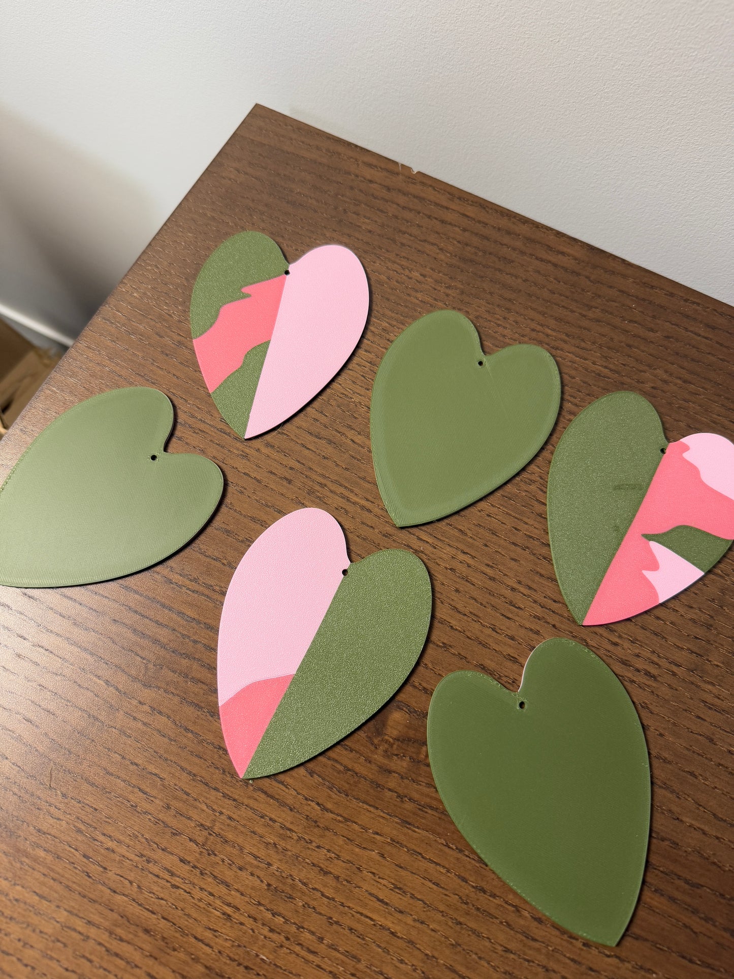 Philodendron Pink Princess Coaster Set Plant