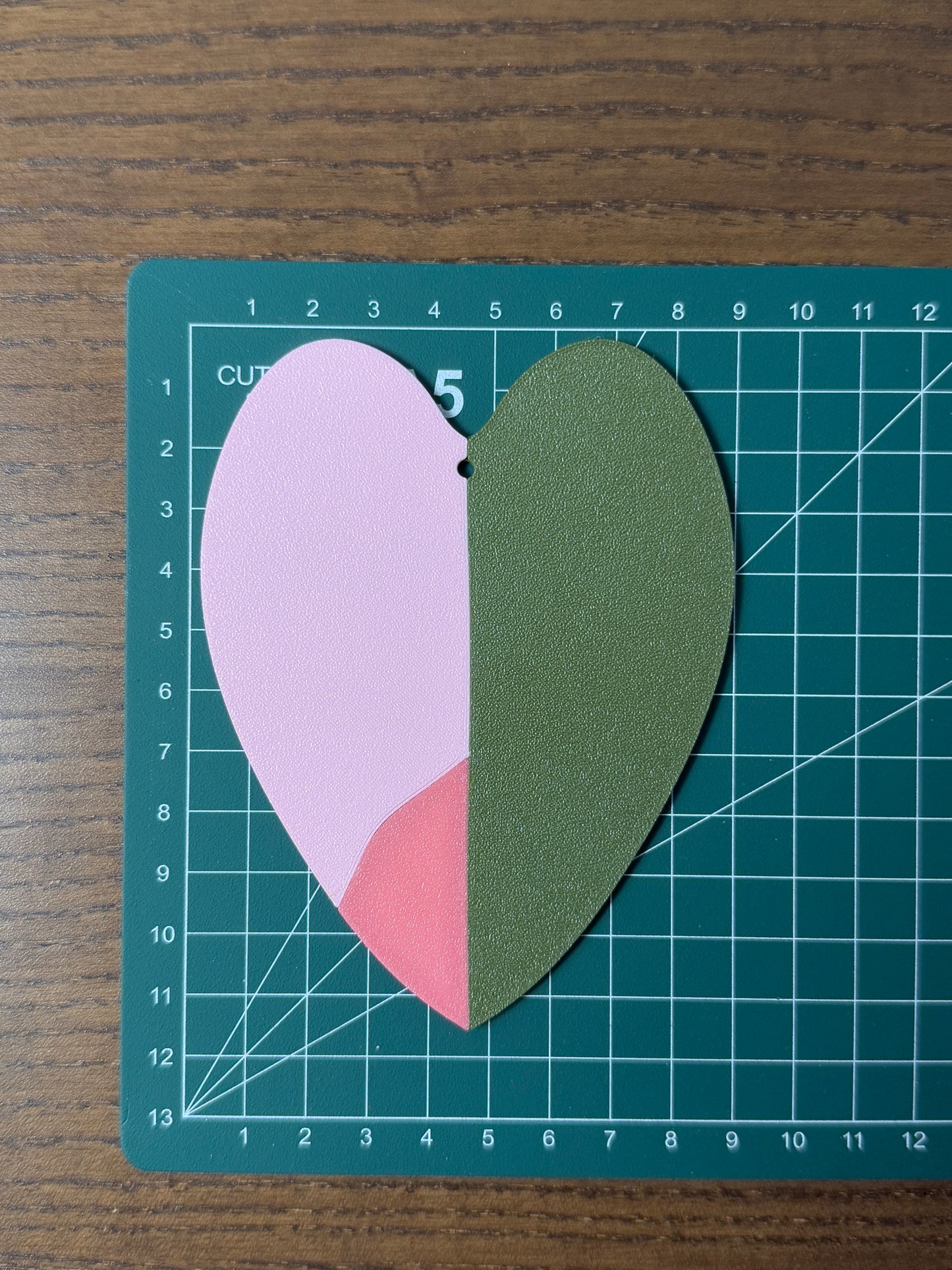 Philodendron Pink Princess Coaster Set Plant