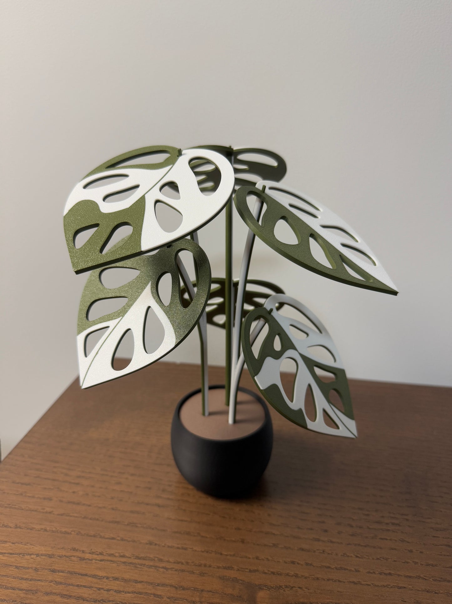 Monstera Adansonii Coaster Set Plant