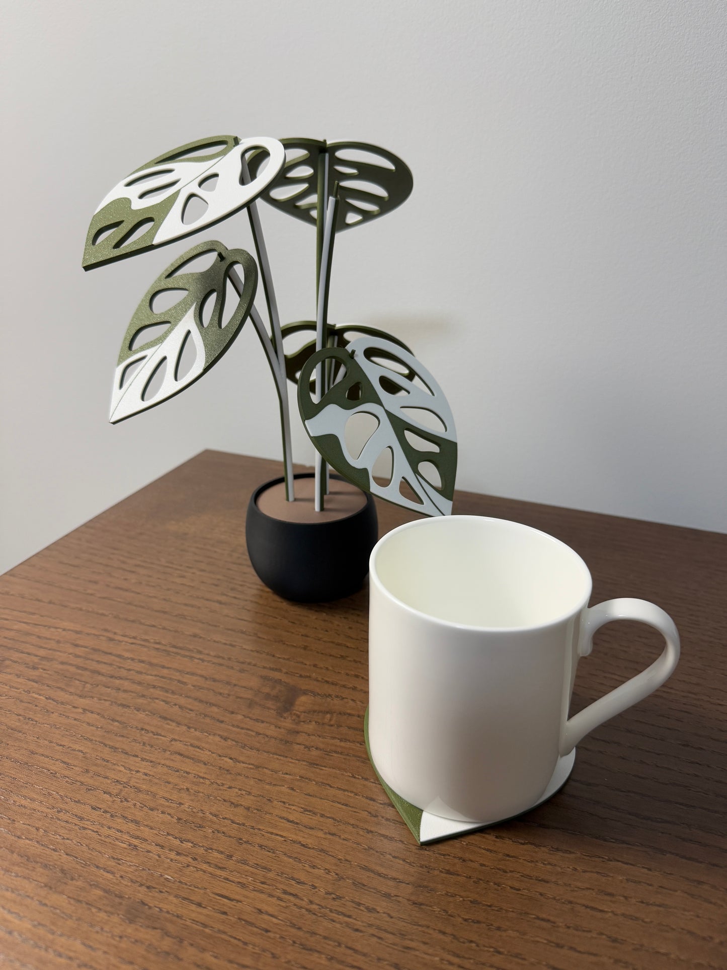 Monstera Adansonii Coaster Set Plant