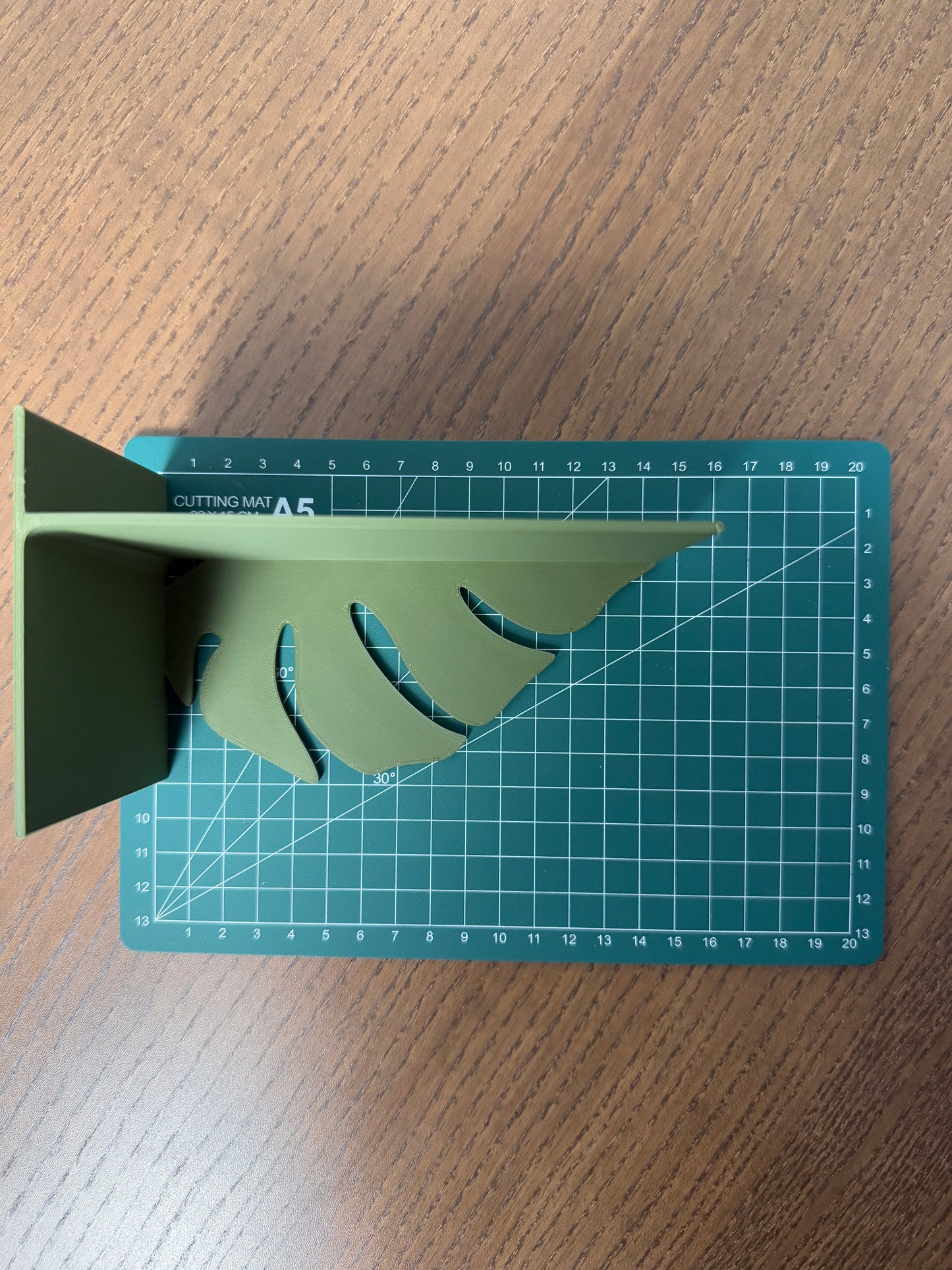 Monstera Albo Bookends