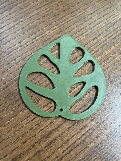 Monstera Adansonii Coaster Set Plant