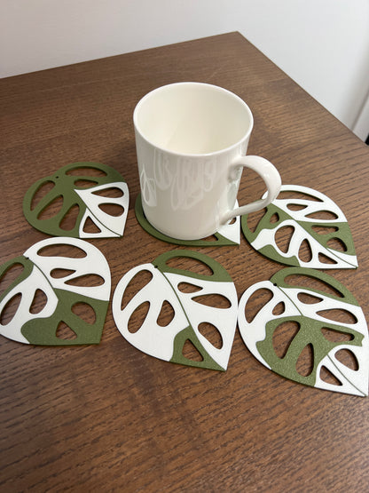 Monstera Adansonii Coaster Set Plant