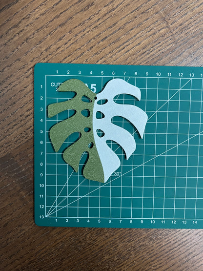 Monstera Albo Coaster Set Plant