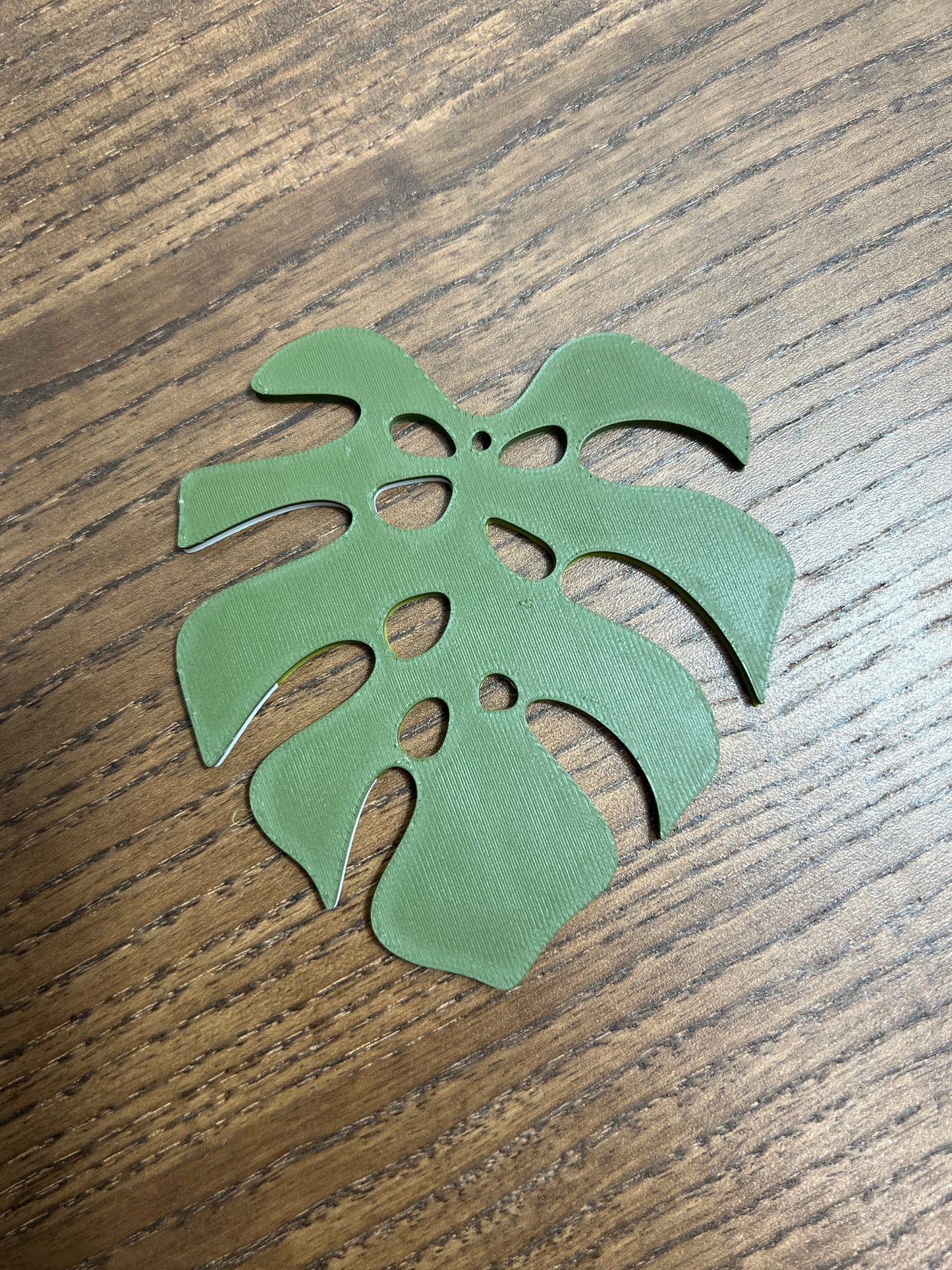 Monstera Albo Coaster Set Plant