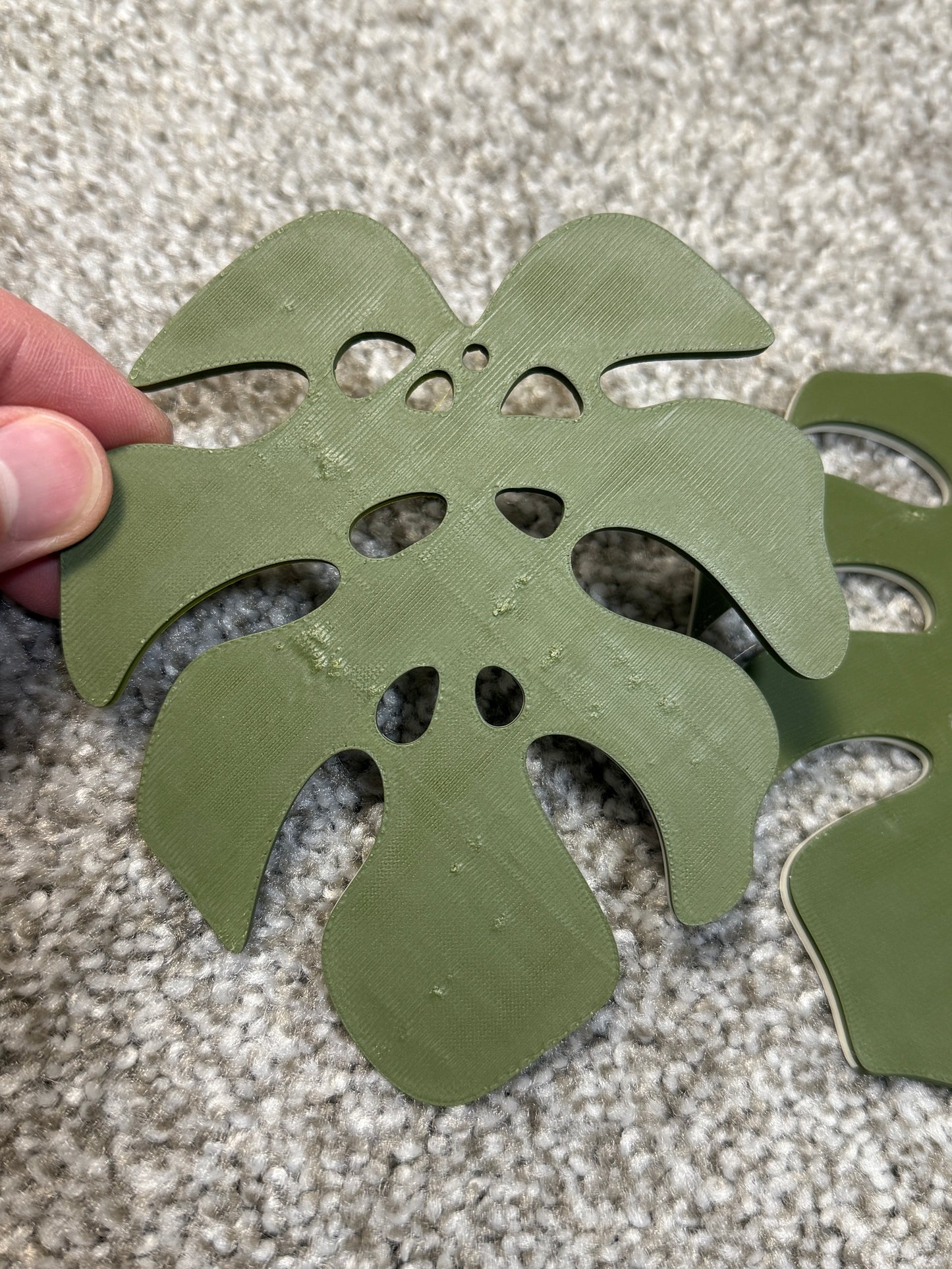[WITH IMPERFECTIONS] Variety Monstera Coaster Set Plant