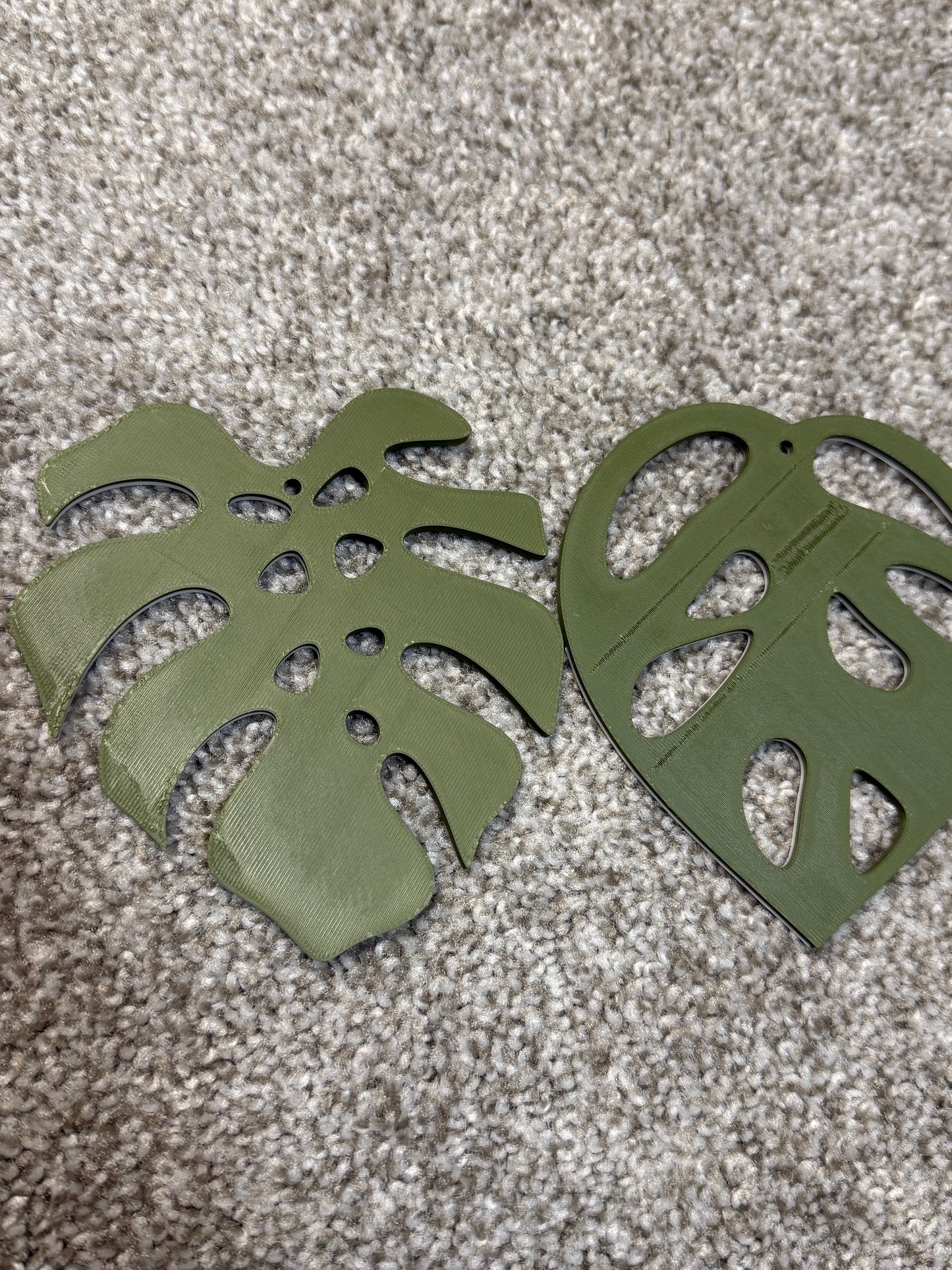 [WITH IMPERFECTIONS] Variety Monstera Coaster Set Plant
