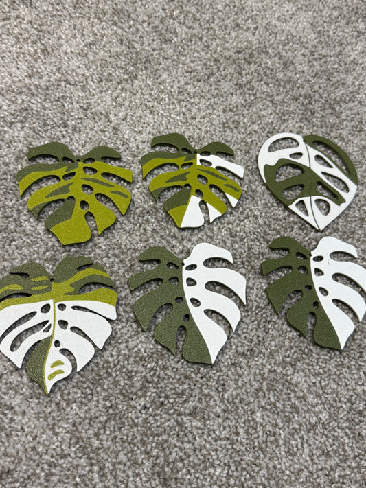[WITH IMPERFECTIONS] Variety Monstera Coaster Set Plant
