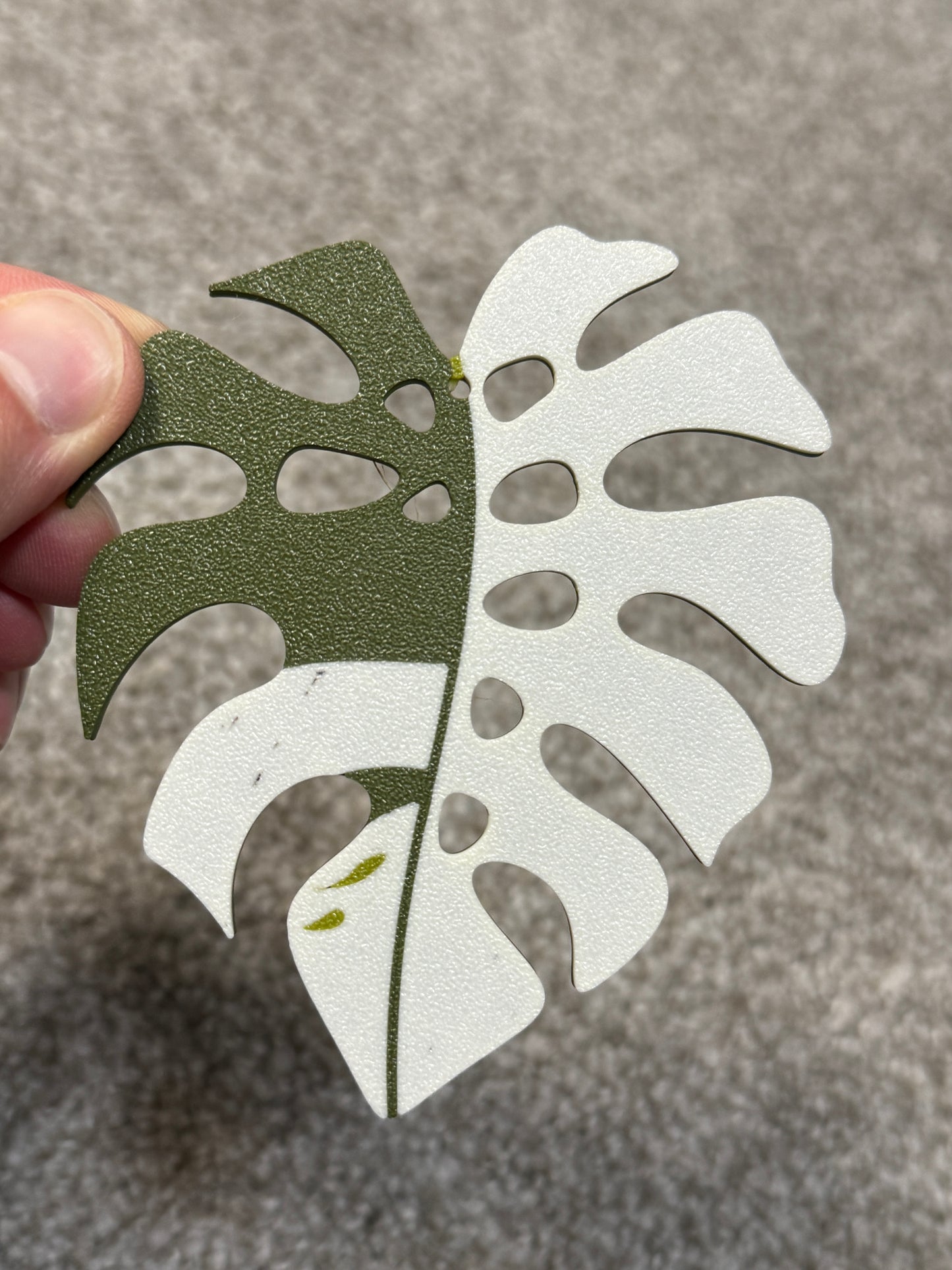 [WITH IMPERFECTIONS] Variety Monstera Coaster Set Plant