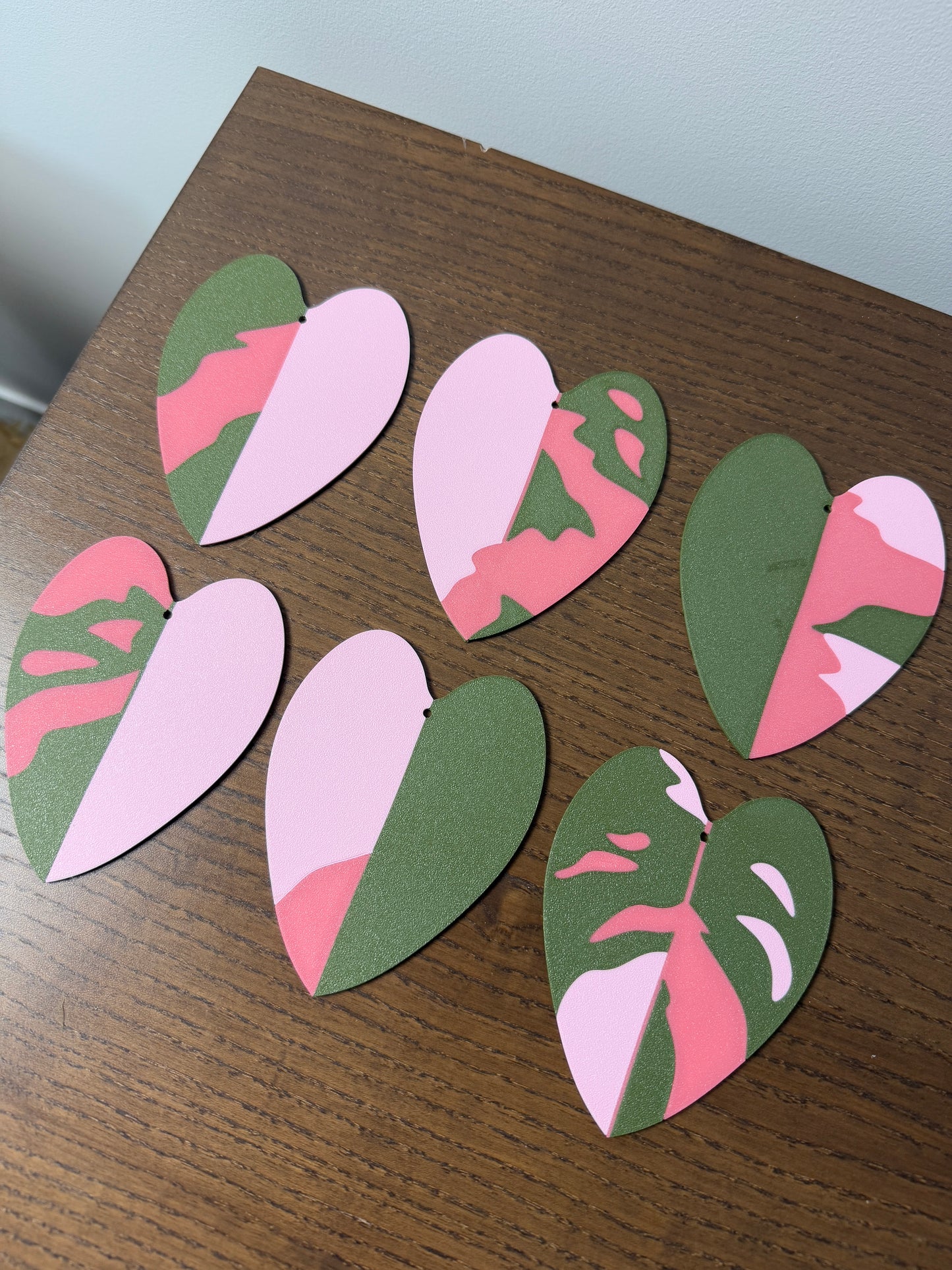 Philodendron Pink Princess Coaster Set Plant