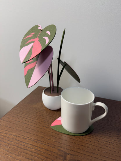 Philodendron Pink Princess Coaster Set Plant