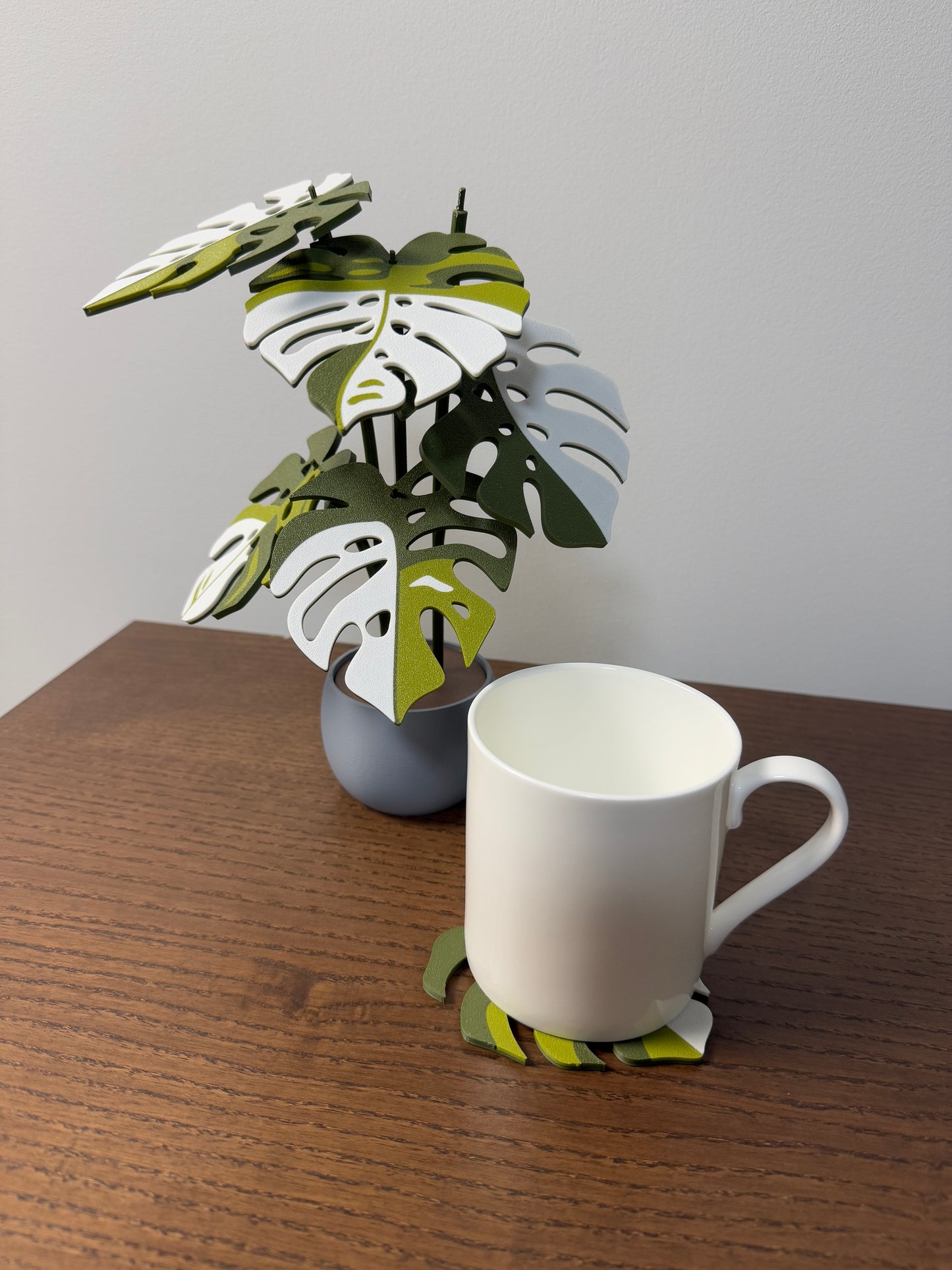 Monstera Albo Coaster Set Plant