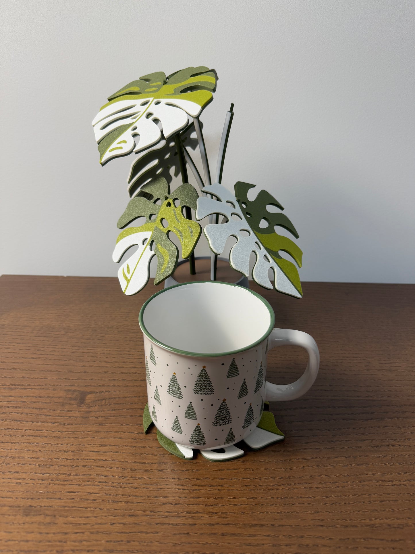 Monstera Albo Coaster Set Plant
