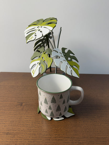 Monstera Albo Coaster Set Plant